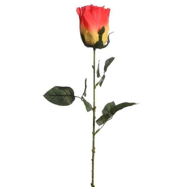 VARA CAPULLO 73CM - Imagen 1