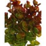 MATA EUCALIPTO ARTIFICIAL 30CM - Imagen 2