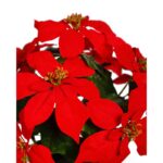 PASCUERO X9 ARTIFICIAL CON MACETA 46CM - Imagen 2