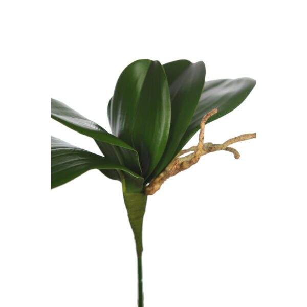 HOJA ORQUIDEA ARTIFICIAL 28CM - Imagen 2