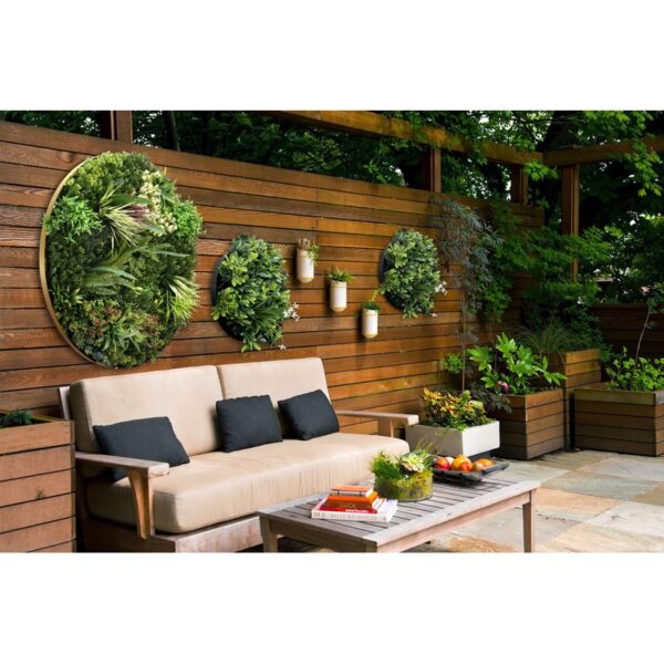 CUADRO VEGETAL REDONDO Ø 50CM - Imagen 5