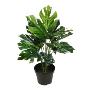 PLANTA CON MACETA MONSTERA 45CM