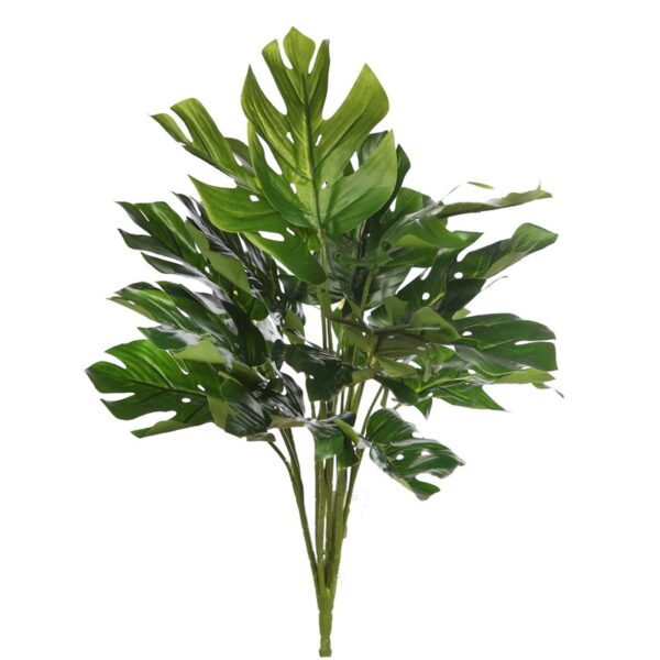 KBM002_0 PLANTA MONSTERA 45CM - Imagen 1