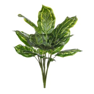 PLANTA MARANTA VERDE 45CM