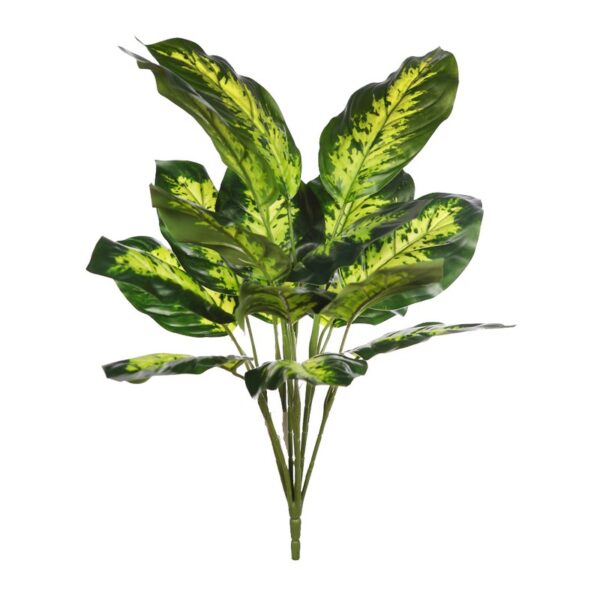 PLANTA  DIEFFENBACHIA 45CM - Imagen 1