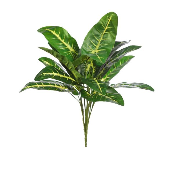 KBM024_0 PLANTA ALOCASIA VERDE 45 CM - Imagen 1