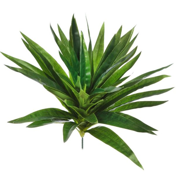 KBM038_0 PLANTA DRACENA V. 30CM - Imagen 1