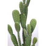 CACTUS OPUNTIA ARTIFICIAL  72CM - Imagen 2