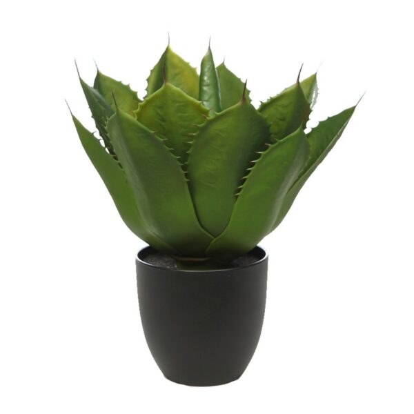 PLANTA CRASA ARTIFICIAL EN MACETA 45CM - Imagen 1