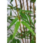 ARBOL DE BAMBU CON TRATAMIENTO UV 180CM - Imagen 2