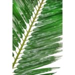 HOJA 150CM UV - Imagen 2