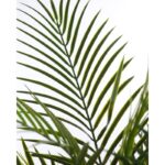 PALMERA ARECA ARTIFICIAL 95CM - Imagen 3