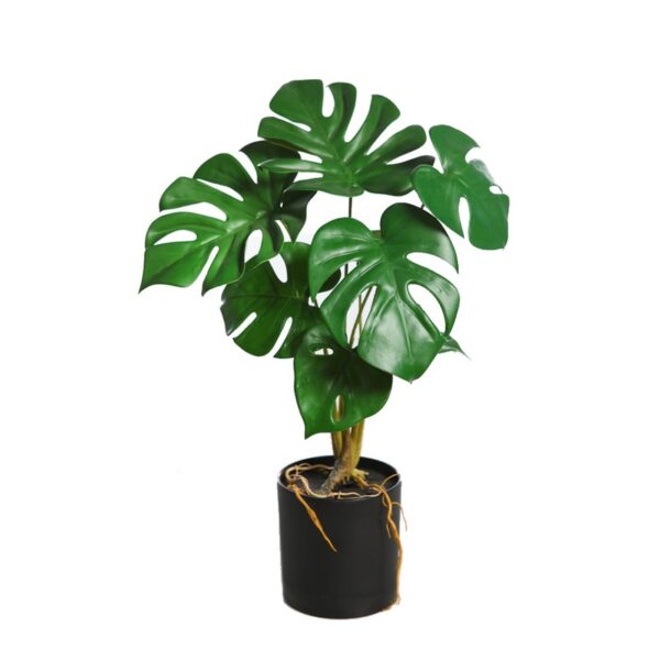 MONSTERA  43CM - Imagen 1