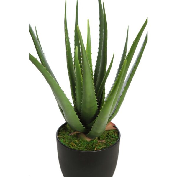 ALOE ARTIFICIAL EN MACETA 56CM - Imagen 2
