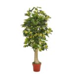 PLANTA CHEFLERA TRONCO CON MACETA 120CM