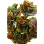 PLANTA COLEO ARTIFICIAL 70CM - Imagen 3