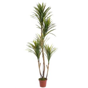 YUCA ARTIFICIAL EN MACETA 185CM ANCHO 80CM