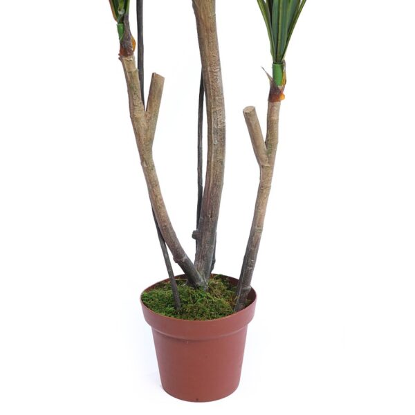 YUCA ARTIFICIAL EN MACETA 185CM ANCHO 80CM - Imagen 3
