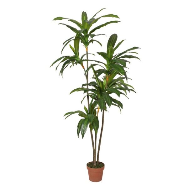 KD9006_0 DRACENA ARTIFICIAL CON MACETA 175CM ANCHO 70CM - Imagen 1