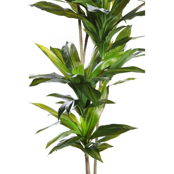 DRACENA ARTIFICIAL CON MACETA 175CM ANCHO 70CM - Imagen 2