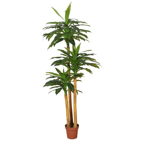 KD9008_0 DRACENA ARTIFICIAL EN MACETA 170CM ANCHO 80CM - Imagen 1