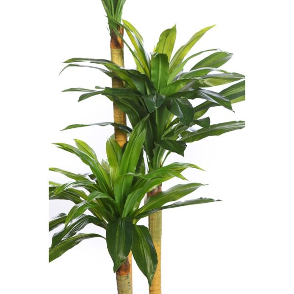 DRACENA ARTIFICIAL EN MACETA 170CM ANCHO 80CM - Imagen 2