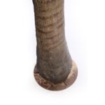 PALMERA COCOTERO ARTIFICIAL 280CM - Imagen 4