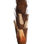 PALMERA COCOTERO ARTIFICIAL 280CM - Imagen 5