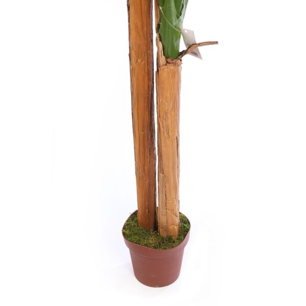 PLATANERA ARTIFICIAL EN MACETA 220CM - Imagen 4