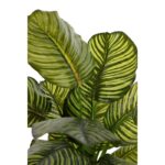 CALATHEA ARTIFICIAL EN MACETA 120CM - Imagen 2