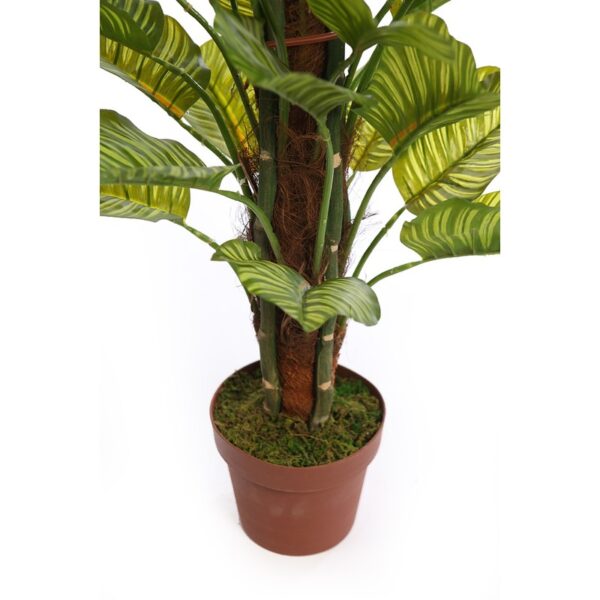 TUTOR CALATHEA ARTIFICIAL EN MACETA 100CM - Imagen 3