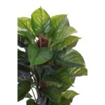 TUTOR POTHO ARTIFICIAL EN MACETA - Imagen 2