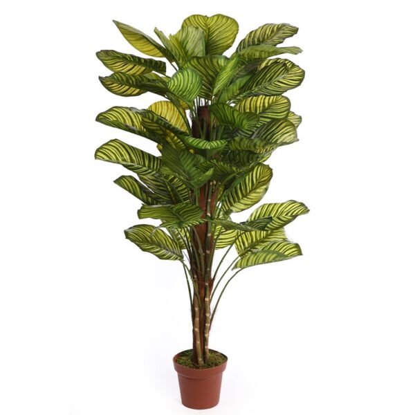 KD9027_0 CALATHEA ARTIFICIAL EN MACETA 150CM - Imagen 1