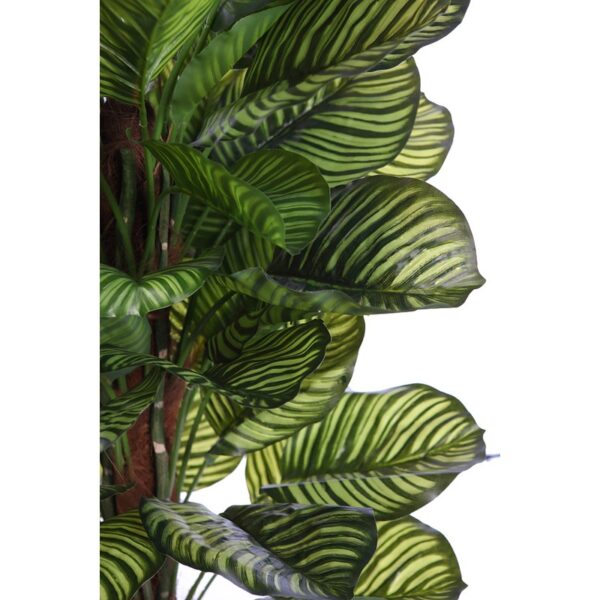CALATHEA ARTIFICIAL EN MACETA 150CM - Imagen 2