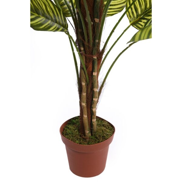 CALATHEA ARTIFICIAL EN MACETA 150CM - Imagen 3