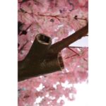 ARBOL ALMENDRO CEREZO ARTIFICIAL 250CM BASE METAL - Imagen 6