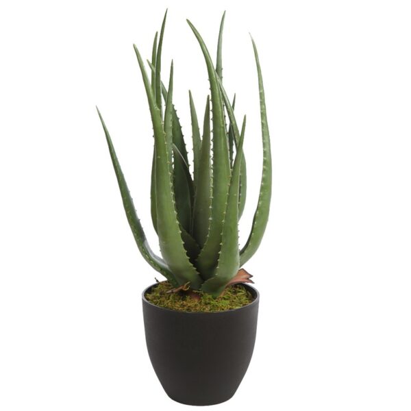 CACTUS ALOE ARTIFICIAL 55CM - Imagen 1