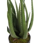 CACTUS ALOE ARTIFICIAL 55CM - Imagen 2