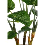 PLANTA COLOCASIA TARO ARTFICIAL 220CM - Imagen 3