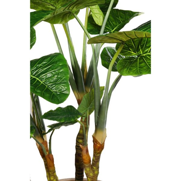 PLANTA COLOCASIA TARO ARTFICIAL 220CM - Imagen 4