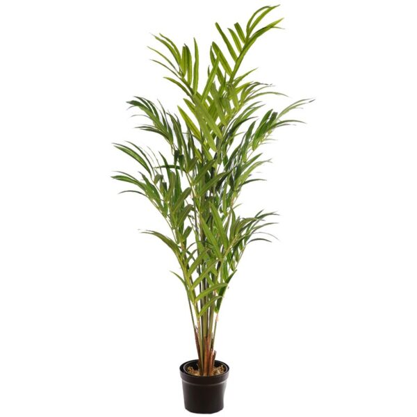 KD9278_0 PALMERA KENTIA ARTIFICIAL 170CM - Imagen 1