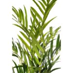 PALMERA KENTIA ARTIFICIAL 170CM - Imagen 2
