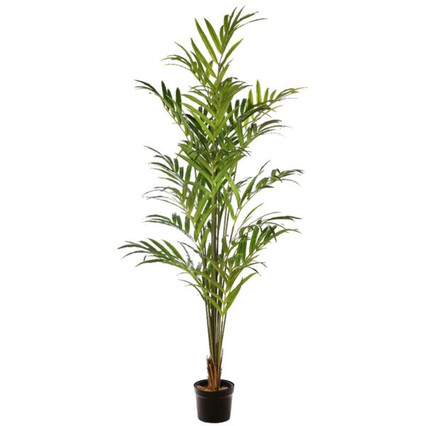 KD9279_0 PALMERA KENTIA ARTIFICIAL 210CM - Imagen 1
