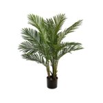 PALMERA ARECA 95CM