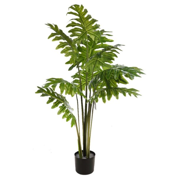 KD9302_0 PLANTA DE MONSTERA DELICIOSA 120CM - Imagen 1