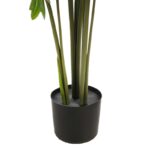 PLANTA DE MONSTERA DELICIOSA 120CM - Imagen 3