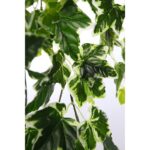 HIEDRA ARTIFICIAL COLGANTE 80 CM - Imagen 2