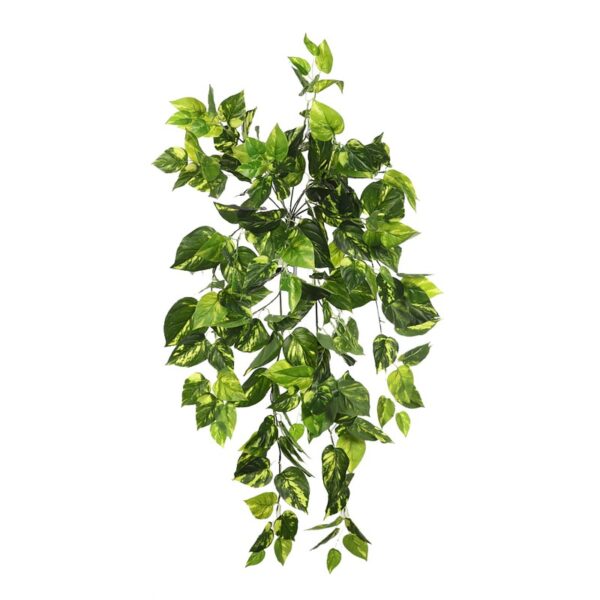 POTHO COLGANTE 80CM - Imagen 1