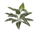 PLANTA ALOCASIA SANDERIANA ARTIFICIAL