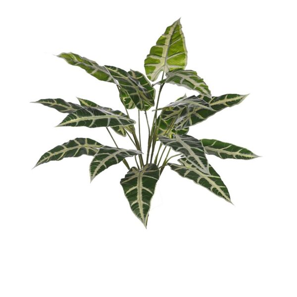 PLANTA ALOCASIA SANDERIANA ARTIFICIAL - Imagen 1